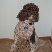 Charlie
