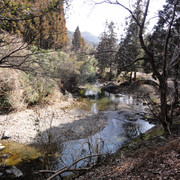 2011-02-26-075