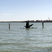 IMG-0665