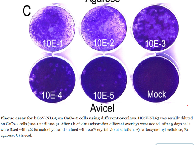 Mock-Inoculation