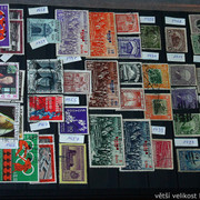 IMG-6835