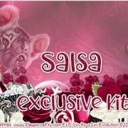 Salsa-Val22-Coupon-Exclusive-Kit