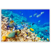 701519-Fundo-do-Mar
