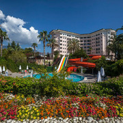IMG-6801
