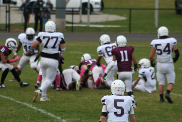 IMG-0514.jpg