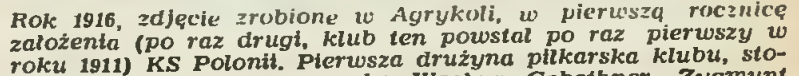 Obrazek