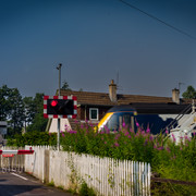 L1461437