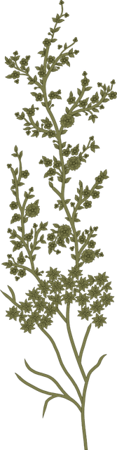 0ffb50d5dd8906d1e952333da2a2f70d.png