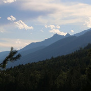 IMG 0313