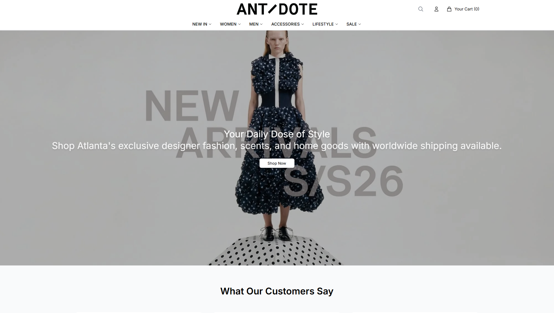 Stored capture of antidotestyleofficial.shop