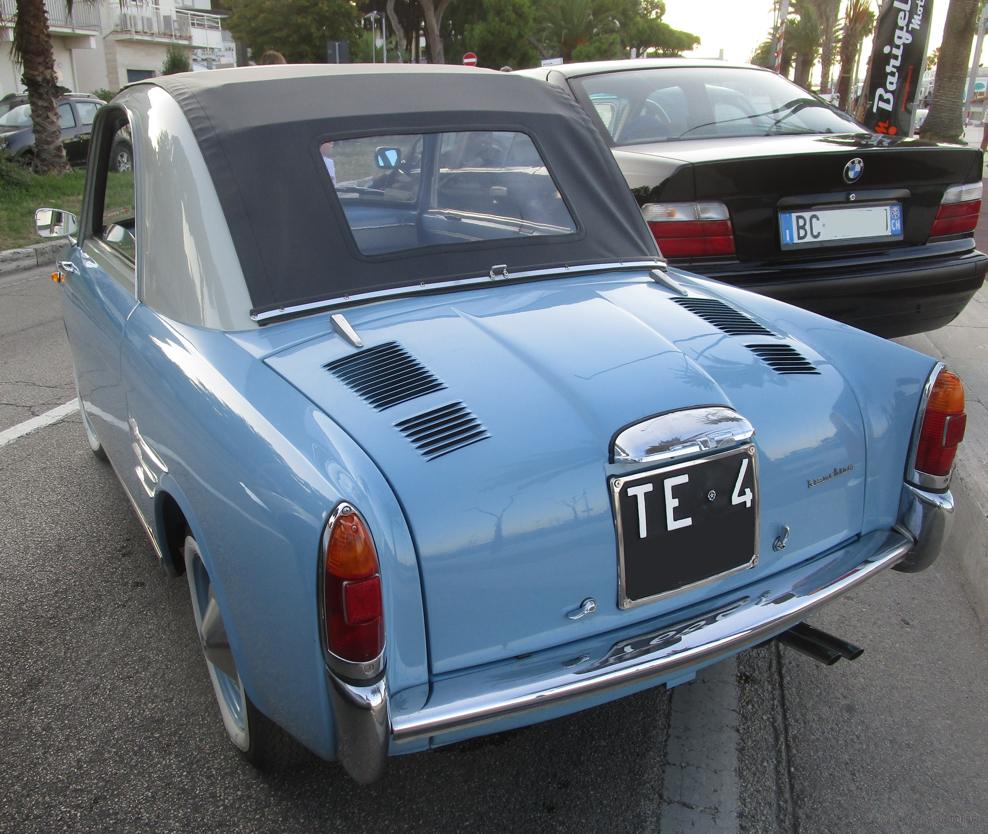 IMG-9100.jpg