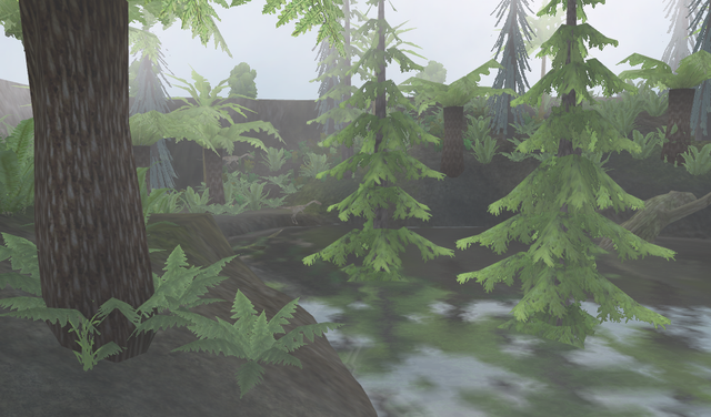 swamp1