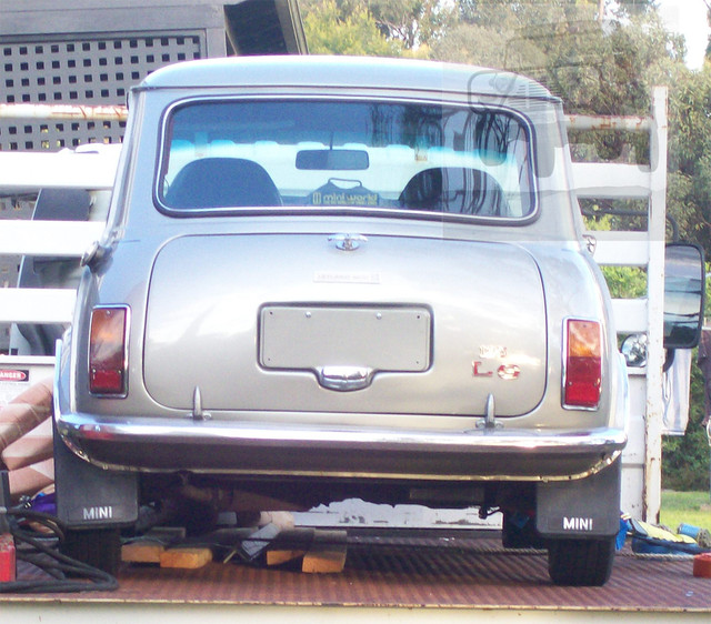 Australian-Mini-Rear-End-WM.jpg