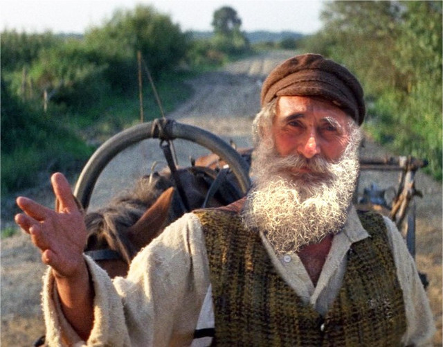 FIDDLER-ROOF