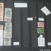 IMG-3542