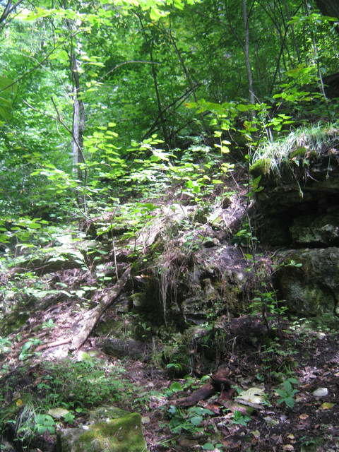 IMG-0917.jpg