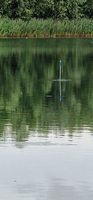 pole