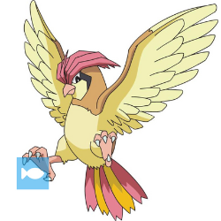 Pidgeotton