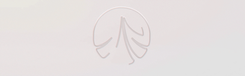 Simple Minimal Logo Reveal - 4