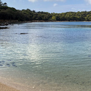 IMG-1591