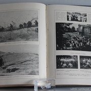 IMG-7475