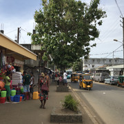 IMG-3764