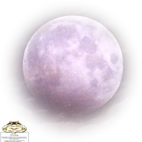 13810437197-halloween-nikita