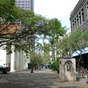 P1070643