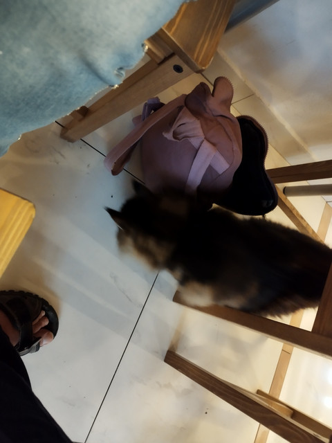 IMG-20240407-171943