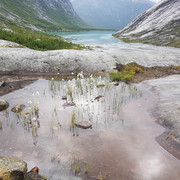 IMG-20160709-122549