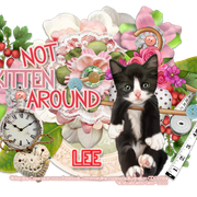 leecat-LE-mctag