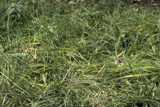 DSC7885.jpg