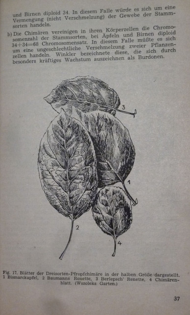 P1220580