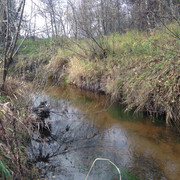 IMG-4361