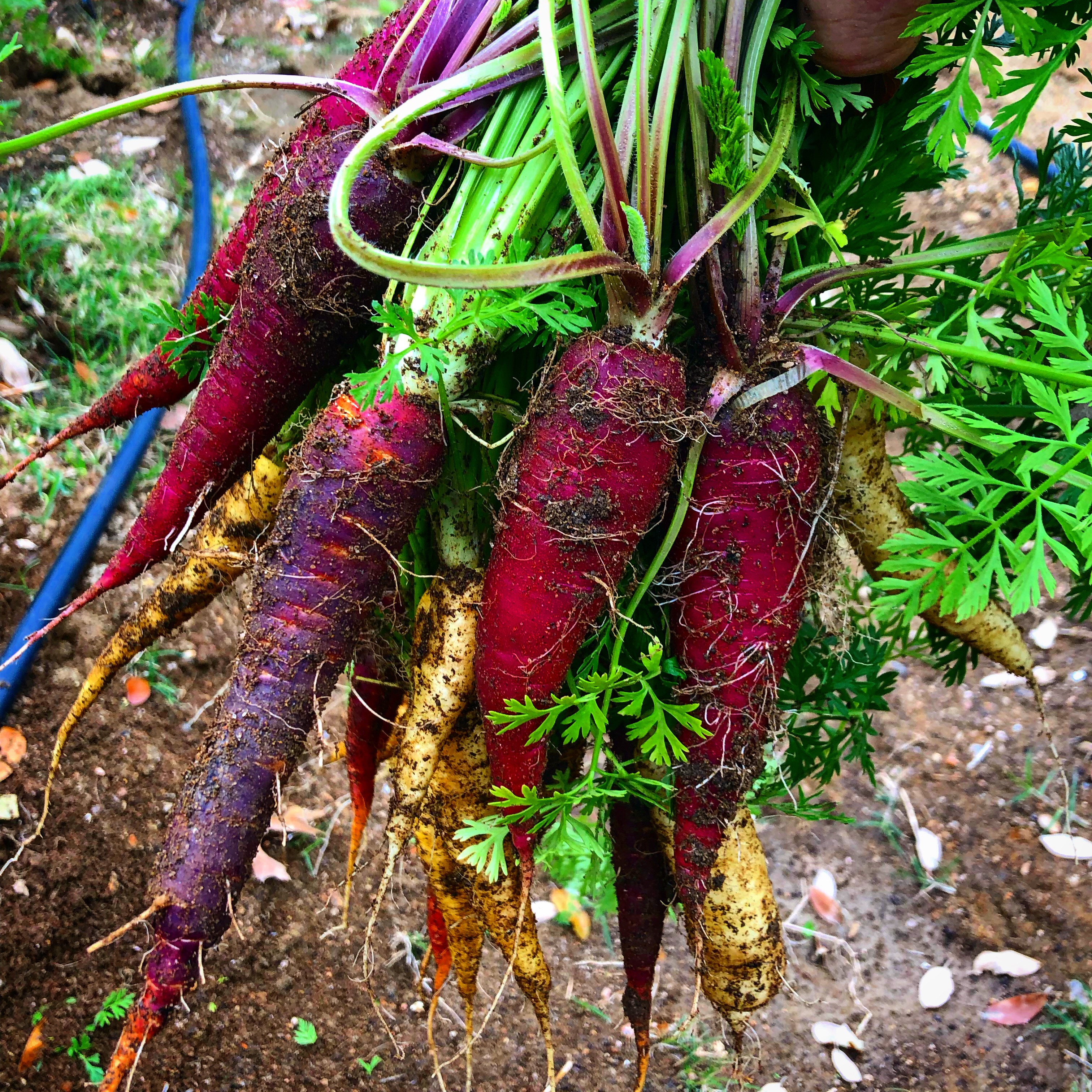 7595793-A-8-BD9-491-F-9-C7-E-7-ACBBA2001