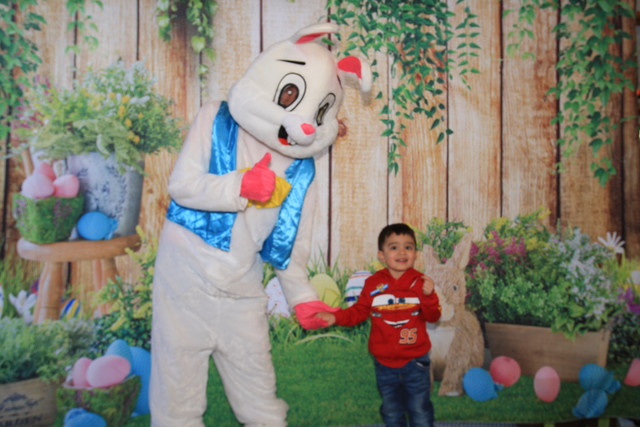 Bunny2026 1