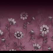 Shutterstock Border (36)