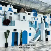 Agro Market15