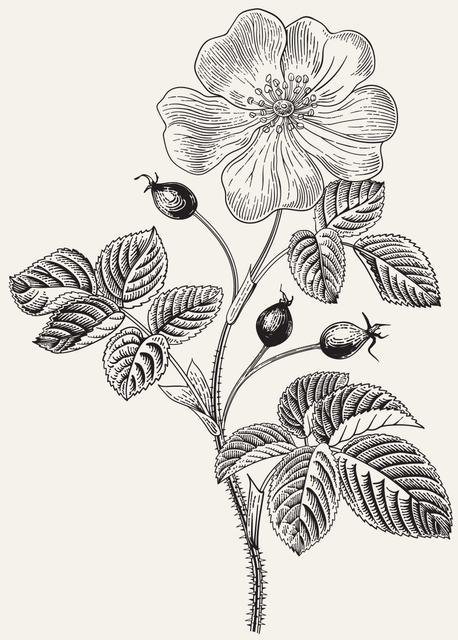 702e26142589434529d2f6df4e99a3a6.png