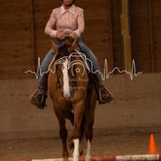 IMG-6022