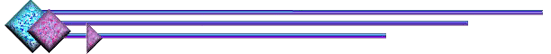 DD731