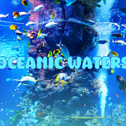 Oceanic-Waters