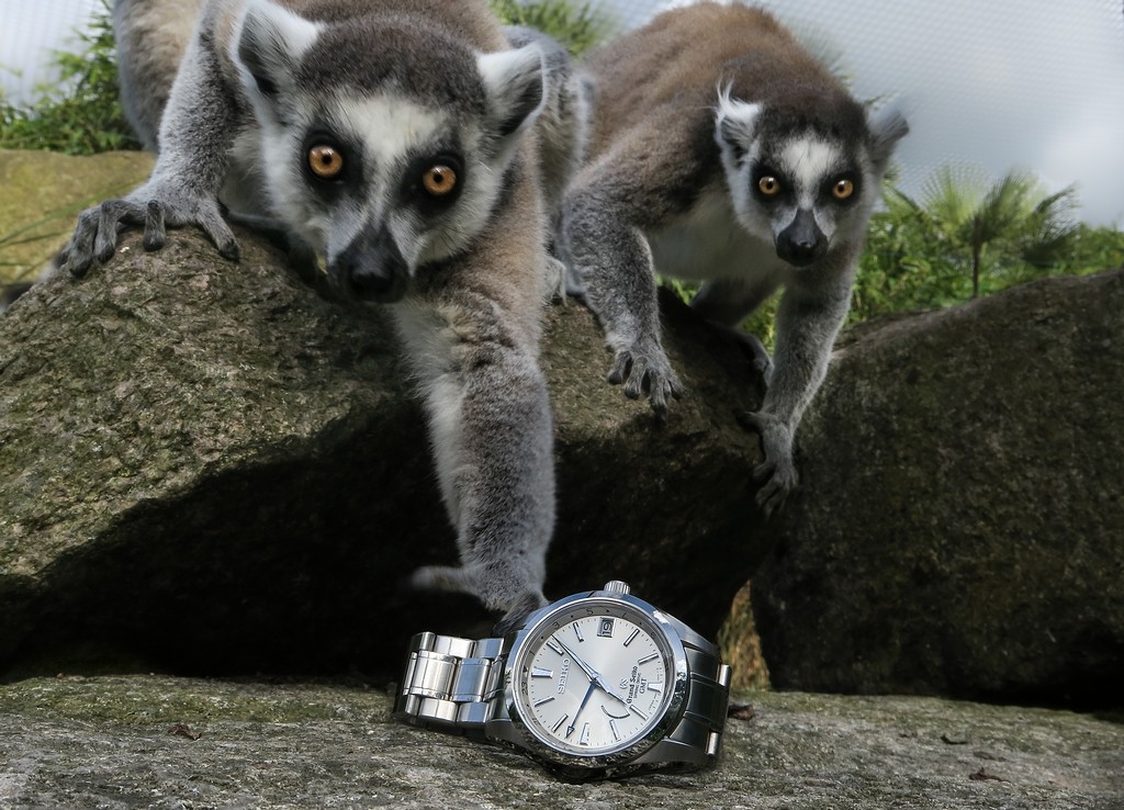 37ième Concours photo Seiko 23-Ericl-Eric