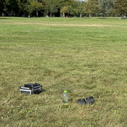 IMG-0594