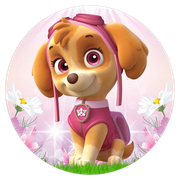 2102331-Patrulha-Canina-Rosa-Ana