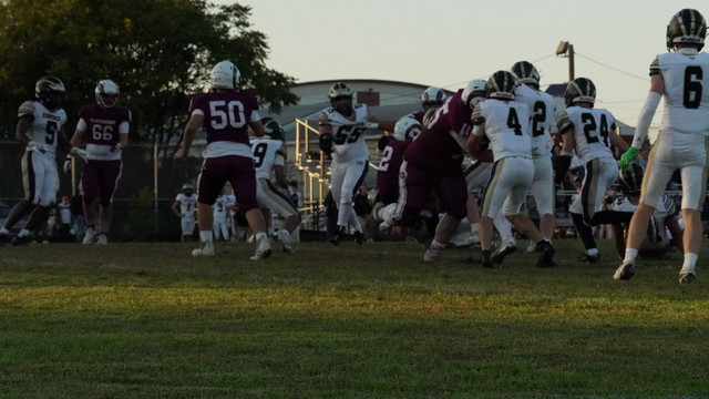DSC08470.jpg