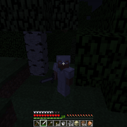Full Iron