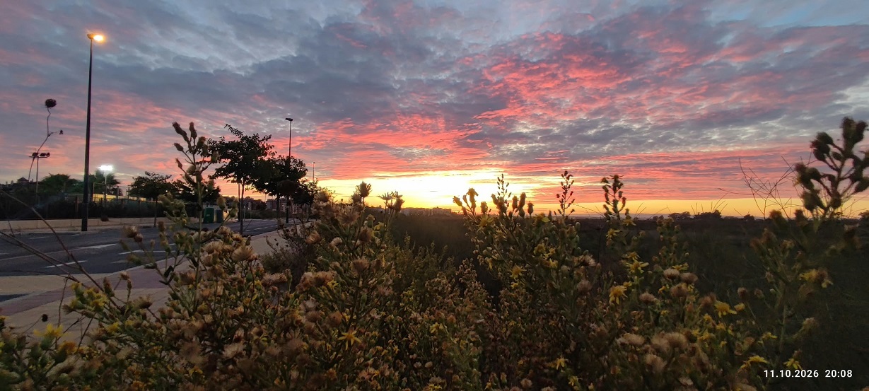 Isla-Canela-sunset.jpg