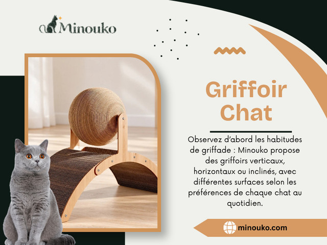 Griffoir Chat.jpg