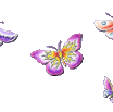 91987355555558284387